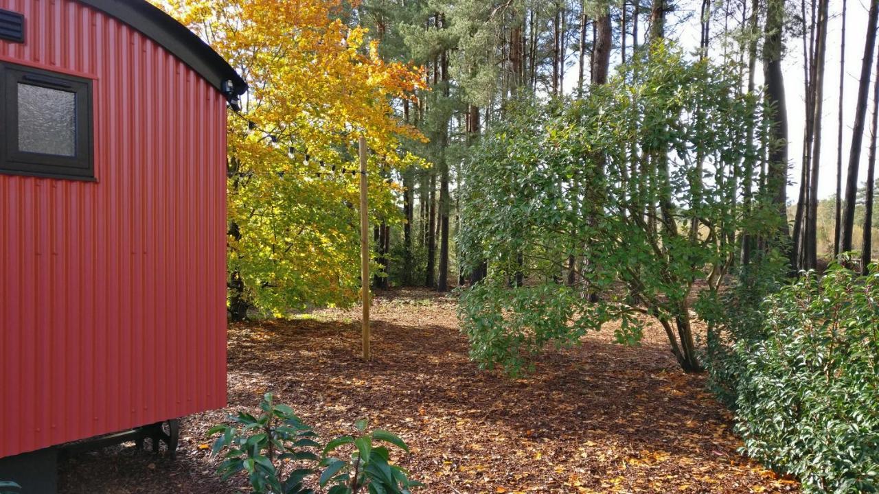 Forest Heath Shepherd'S Huts Ringwood Exterior foto